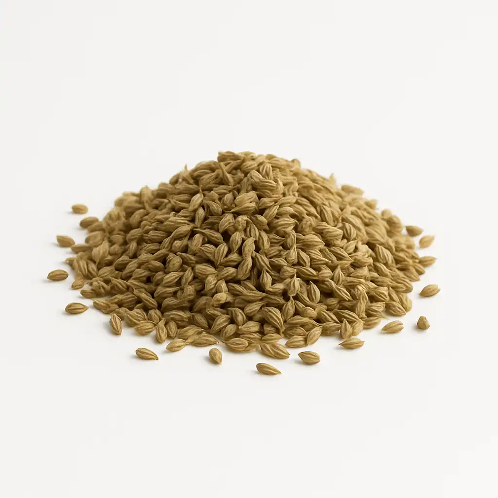 Premium Ajwain (Carom Seeds) – Whole (100g, 250g, 500g)