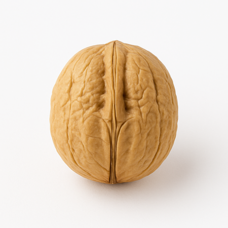 Walnuts (With Shell) (100g, 250g, 500g)
