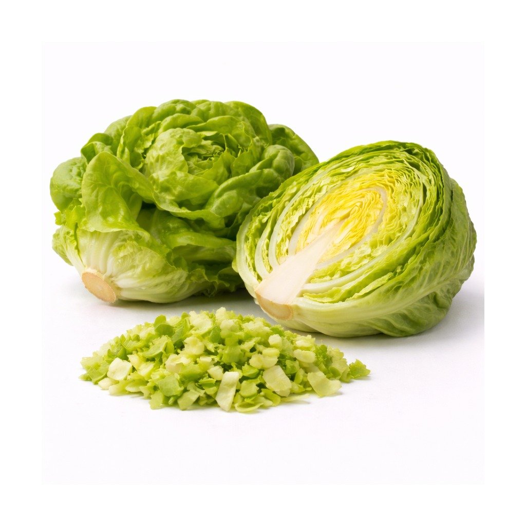 Butterhead Lettuce