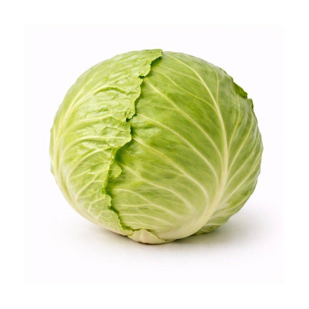Cabbage – Green
