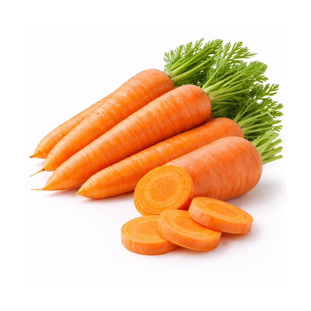 Carrot – Orange