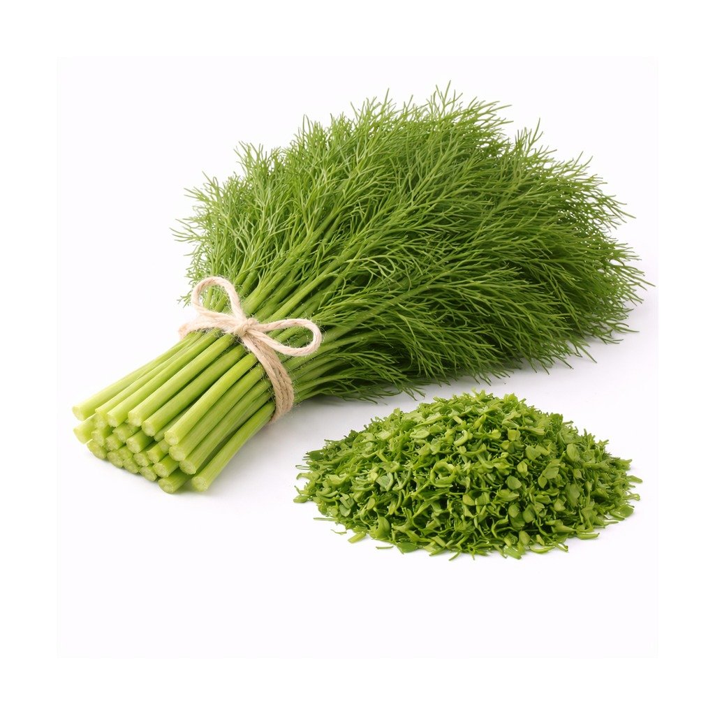 Dill Leaves (Suva / Shepu)