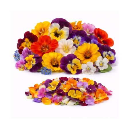 Edible Flowers