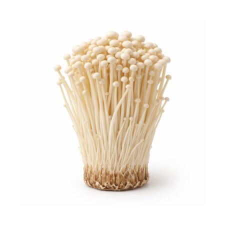 Enoki Mushroom