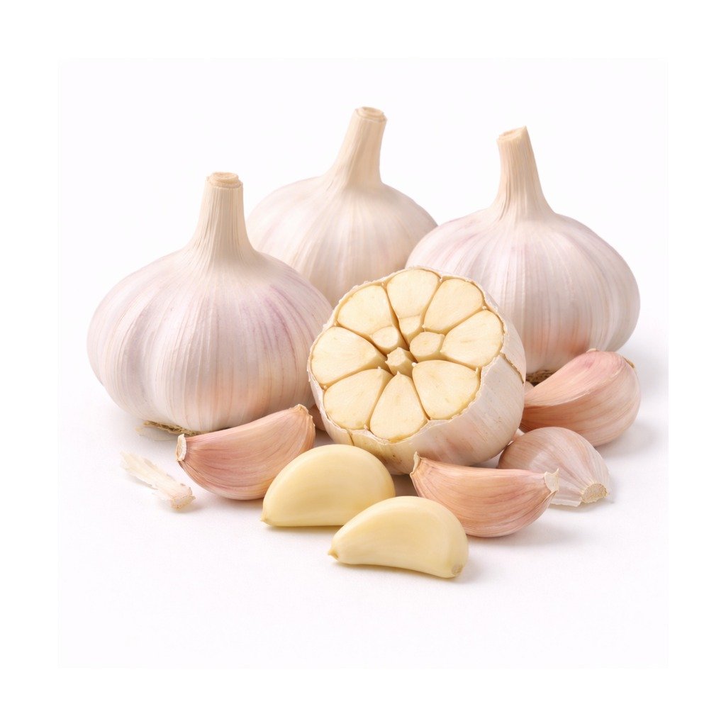 Garlic