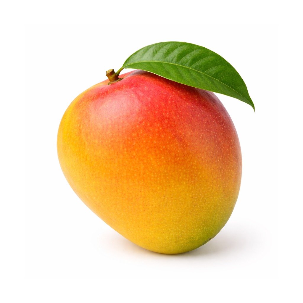 Mango – Alphonso
