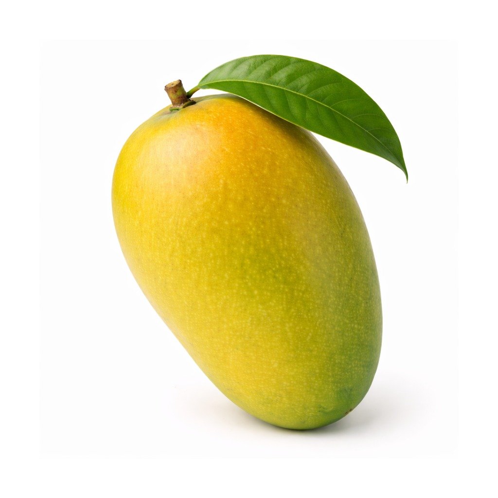 Mango – Dasheri