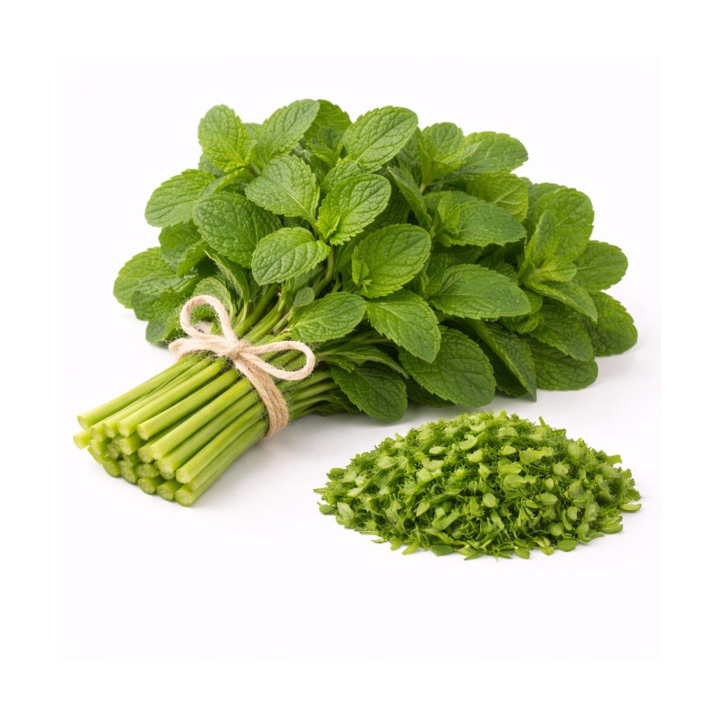 Mint Leaves (Pudina / Fudina)
