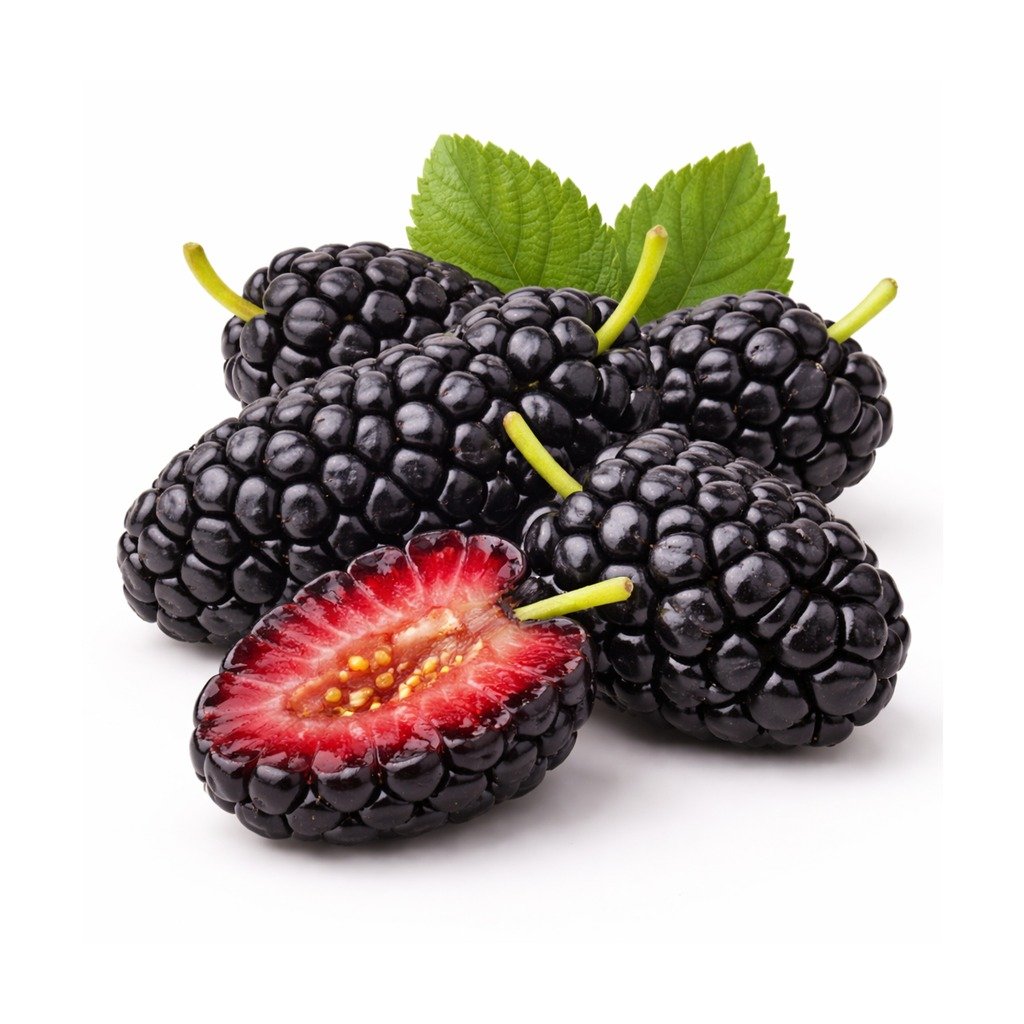 Mulberry