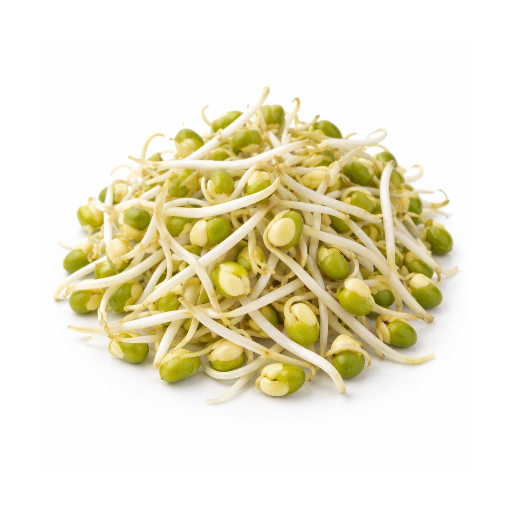 Mung Sprouts