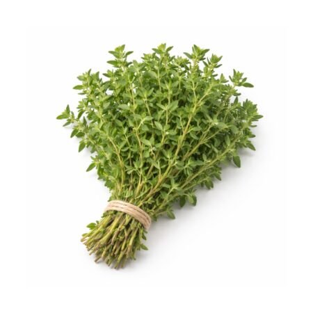 Oregano (Fresh)