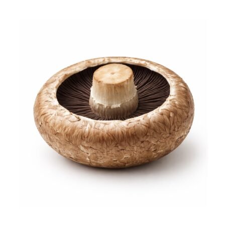 Portobello Mushroom