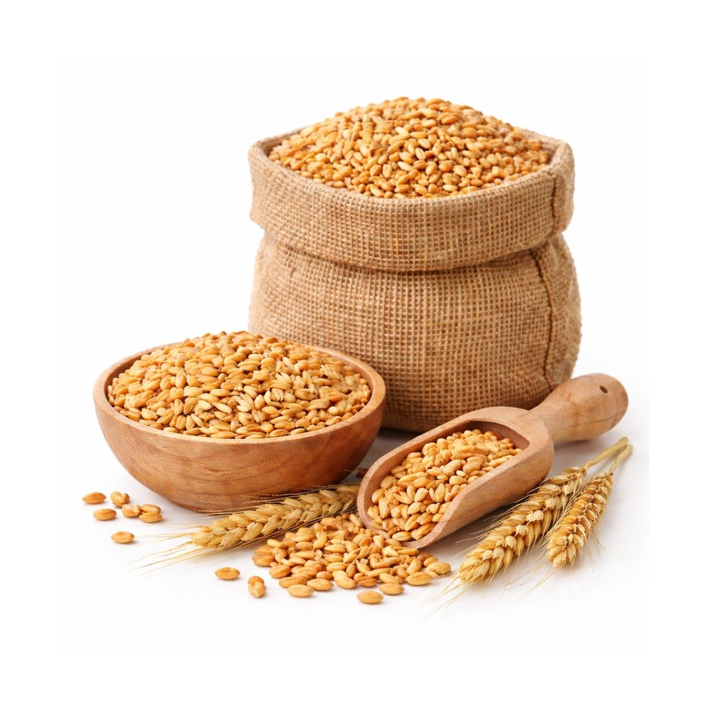 Purna Wheat