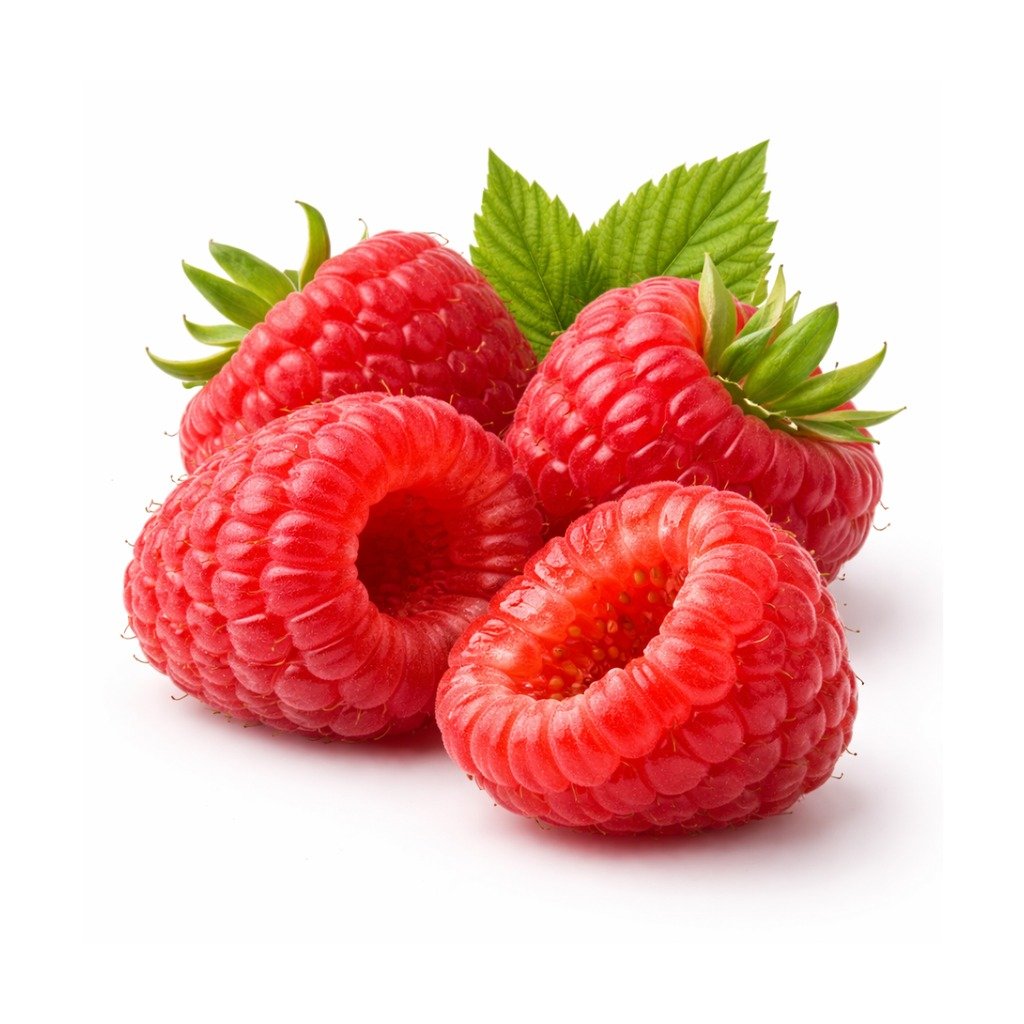 Raspberry – Fresh