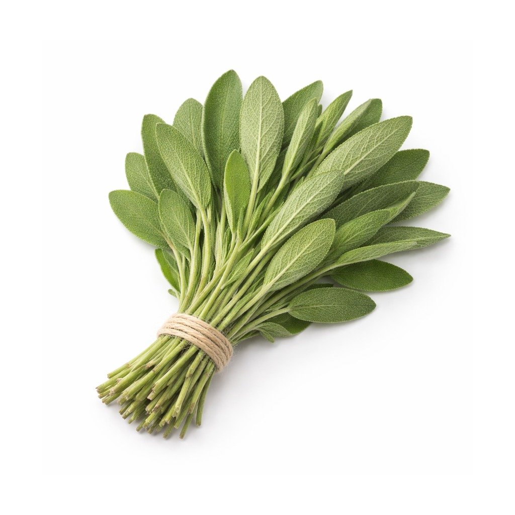 Sage (Fresh)