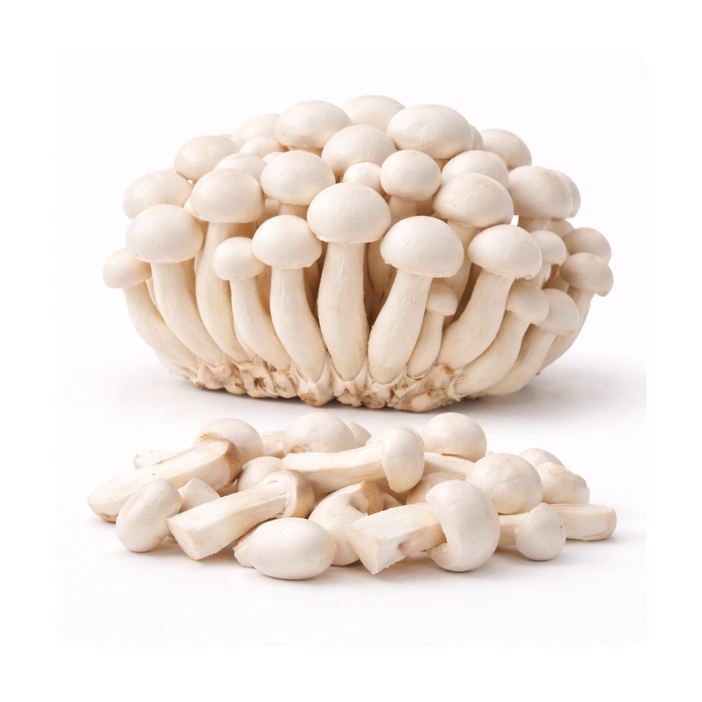 Shimeji Mushroom – White