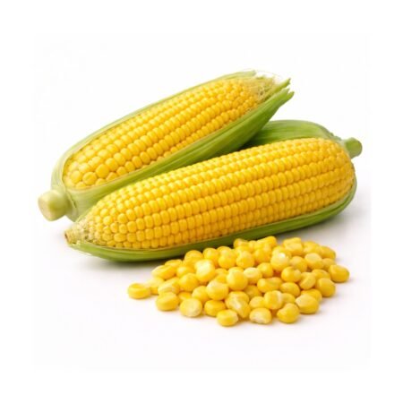 Sweet Corn